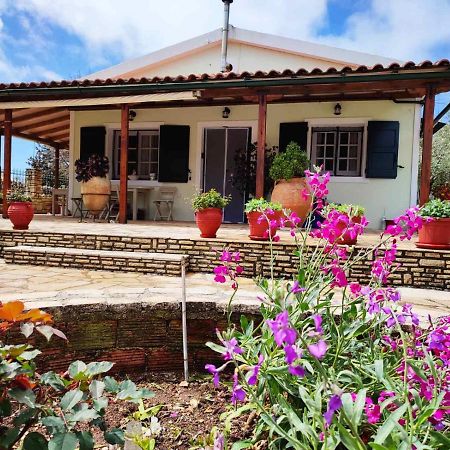 Villa Olive Garden, Kastanida - Paxoi Gaios Ngoại thất bức ảnh