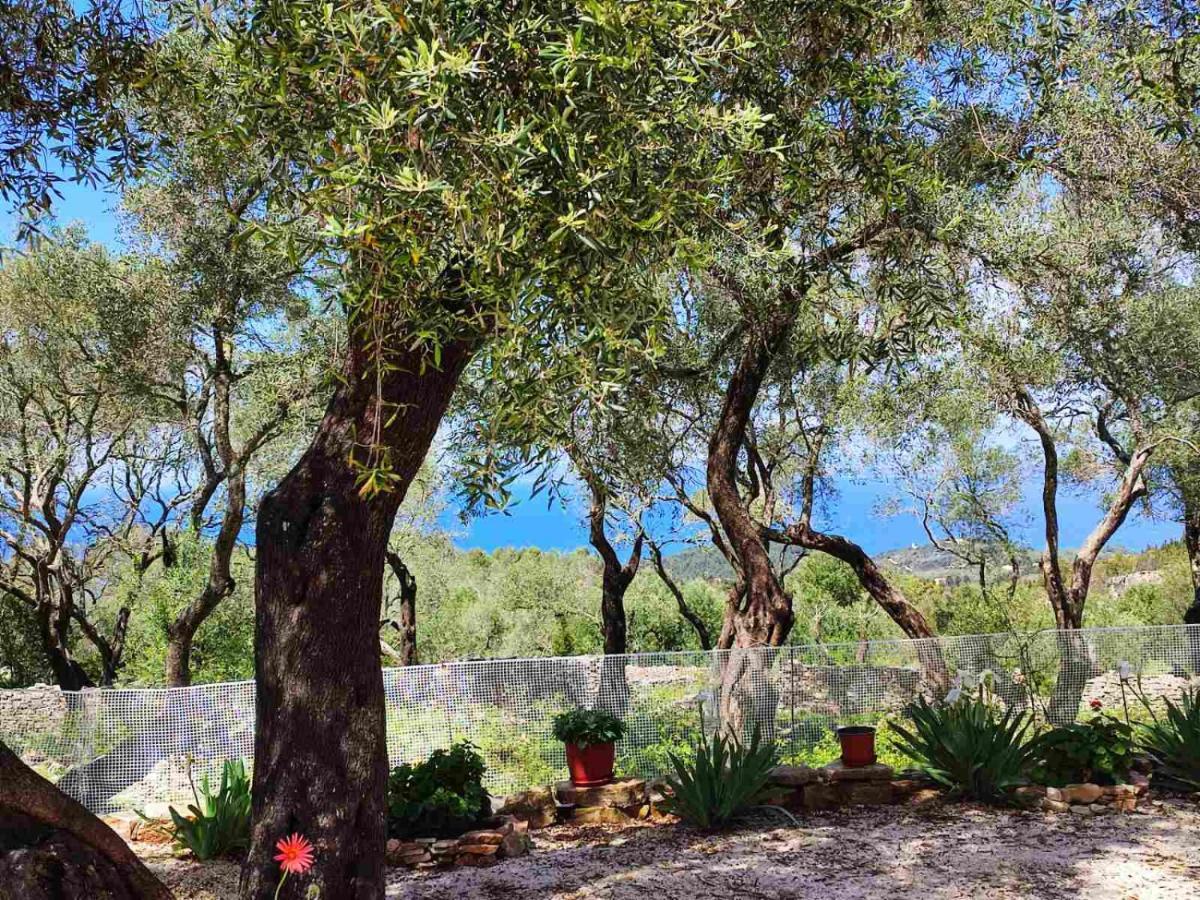 Villa Olive Garden, Kastanida - Paxoi Gaios Ngoại thất bức ảnh