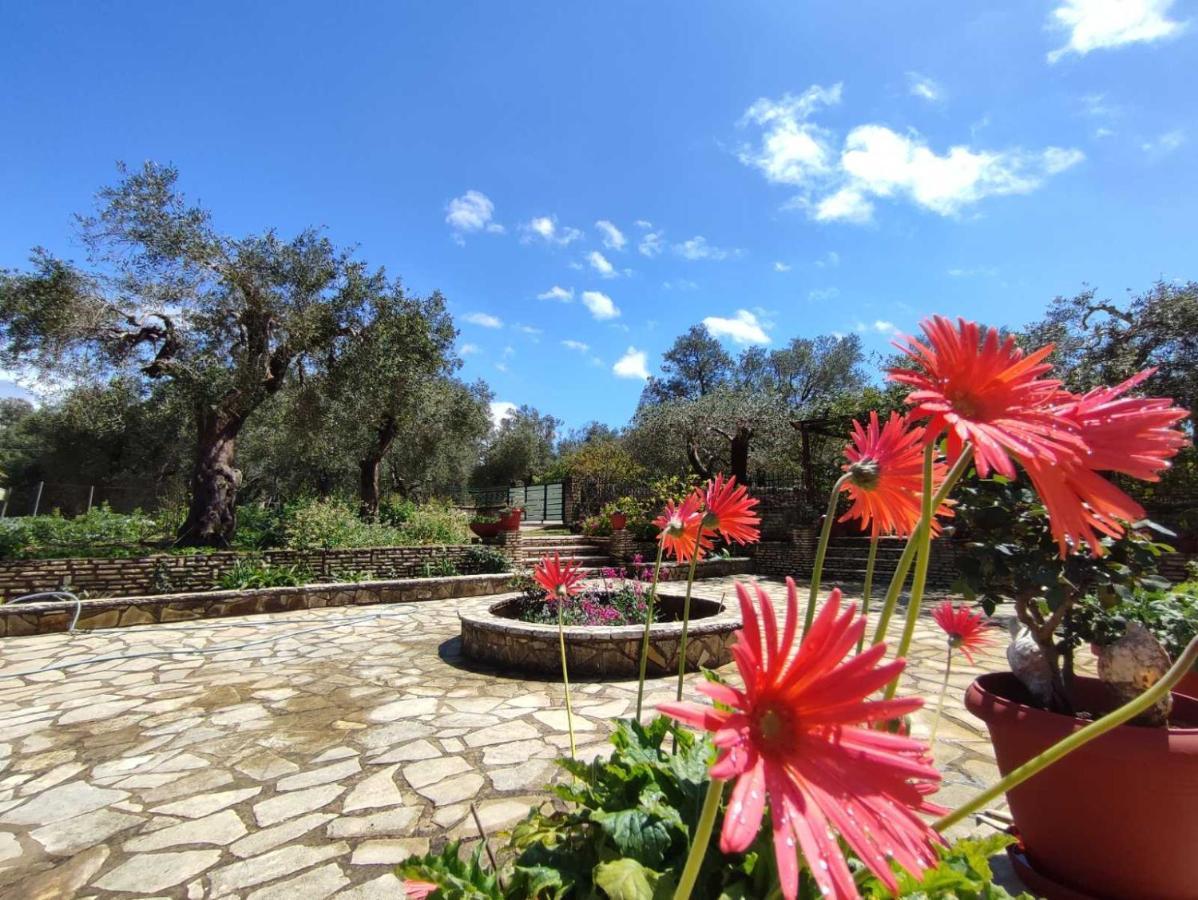 Villa Olive Garden, Kastanida - Paxoi Gaios Ngoại thất bức ảnh